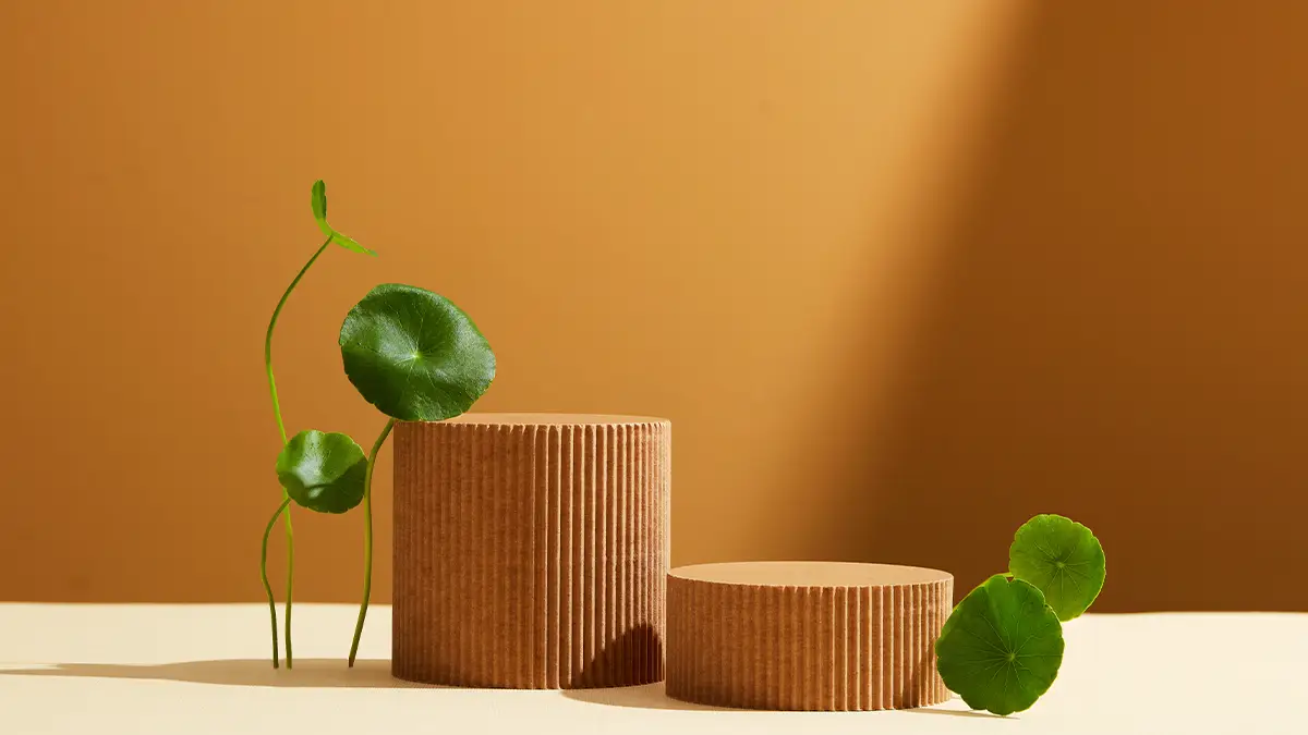 Los mejores ingredientes para el acné 6 Centella Asiatica Propiedades y Beneficios para la Piel con Acne