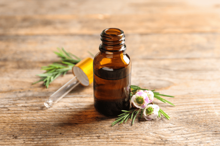 Aceite de Árbol de Té para el Acné: ¿Cómo Usarlo Correctamente? 1 arbol de te para el acne